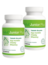 Dolvit Junior  Plus 2x90 tabletek