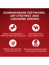 PURINA ONE Mini Active Kurczak, ryż - sucha karma dla psa - 800g /  / Opakowanie uszkodzone (8675) !!!