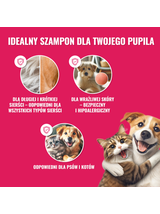 PETS “Lśniący Wąsik” – Pakiet Dla Właścicieli Kotów