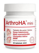 Dolfos ArthroHA mini  - preparat wspomagający leczenie schorzeń stawów 40 tab.