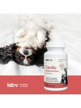 Lab-v Cardio Regeneration – Wsparcie prawidłowego funkcjonowania pracy serca i układu krążenia dla psów i kotów 45 kapsułek