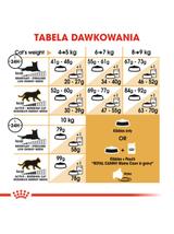 ROYAL CANIN Maine Coon Adult 4kg karma sucha dla kotów dorosłych rasy maine coon