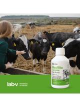 Lab-v MaxiVita Complex - mieszanka paszowa uzupełniająca – multiwitaminowa, w formie płynnej, przeznaczona dla drobiu grzebiącego, drobiu wodnego, gołębi, świń, bydła, owiec i kóz 250 ml