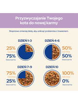 CAT CHOW Sensitive Karma dla kotów z łososiem i cukinią w sosie 10x85g
