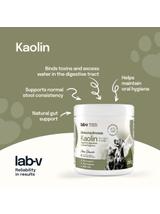 Lab-v Kaolin – wsparcie jelit i higieny jamy ustnej dla psów i kotów 200g