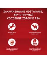 Purina One Sensitive Mini/Small Karma dla psów z łososiem i ryżem 6x1,5 kg