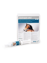 LIVISTO Derbymed Gastroquin Akut 60ml