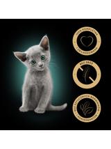 SHEBA Kitten Wybór Smaków saszetki mokra karma pełnoporcjowa dla kociąt, w sosie (kawałki z: łososiem, kurczakiem) 160x85g
