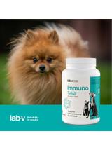 Lab-v Pet Care Box MEDIUM – Zestaw prezentowy dla psa i kota