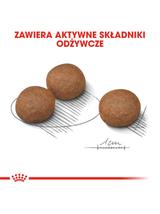 ROYAL CANIN CCN Medium Digestive Care 3kg karma sucha dla psów dorosłych, ras średnich o wrażliwym przewodzie pokarmowym + NIESPODZIANKA DLA PSA GRATIS!!