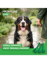 FRONTLINE Combo Spot -On Pies XL powyżej 40kg (pipeta 3x 4,02ml)