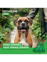 FRONTLINE Combo Spot -On Pies L 20-40kg (pipeta 3x 2,68ml)