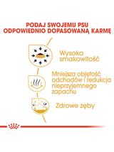 ROYAL CANIN Chihuahua Adult 500g karma sucha dla psów dorosłych rasy chihuahua/ opakowanie uszkodzone (8968)!!!