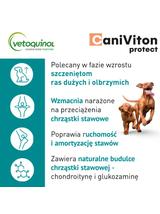VETOQUINOL Caniviton Protect Karma Uzupełniająca Dla Psów 2x90 tab + NIESPODZIANKA DLA PSA GRATIS