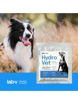 Lab-v Hydro-Vet Dog - mieszanka paszowa dietetyczna wspomagająca regenerację organizmu po przebytych operacjach dla psów 22 g