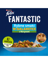 FELIX Fantastic Wiejskie Smaki w galaretce z łososiem i pstrągiem  4x85g