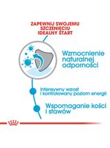 ROYAL CANIN Giant Puppy 15kg karma sucha dla szczeniąt, od 2 do 8 miesiąca życia, ras olbrzymich  + niespodzianka dla psa GRATIS!