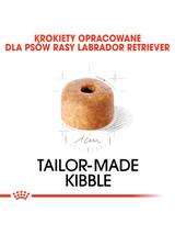 ROYAL CANIN Labrador Retriever Puppy 12kg karma sucha dla szczeniąt do 15 miesiąca, rasy labrador retriever/Opakowanie uszkodzone (5560,5478,7361)