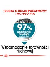 ROYAL CANIN CCN Maxi Joint Care 10kg karma sucha dla psów dorosłych, ras dużych, wspomagająca pracę stawów \Opakowanie uszkodzone (371, 980,8337)