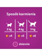 WHISKAS Zdrowy Blask 8x45g - przysmak dla kota, z kurczakiem