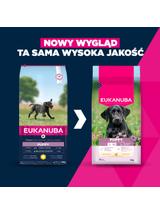 EUKANUBA Puppy&Junior Large Breed 15kg