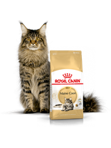 ROYAL CANIN Maine Coon Adult 10kg + niespodzianka dla kota GRATIS!
