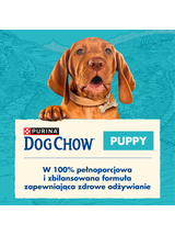 PURINA Dog Chow Puppy Chicken 14kg
