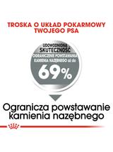 ROYAL CANIN CCN Mini Dental Care 8kg karma sucha dla psów dorosłych, ras małych, redukująca powstawanie kamienia nazębnego