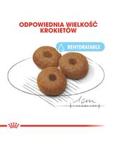 ROYAL CANIN Maxi Starter Mother&Babydog 15kg + niespodzianka dla psa GRATIS!