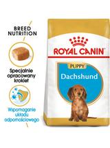 ROYAL CANIN Dachshund Puppy 1,5kg karma sucha dla szczeniąt do 10 miesiąca, rasy jamnik