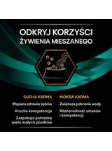 PRO PLAN Veterinary Diets EN St/Ox Gastrointestinal Karma sucha dla kota 5kg