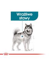ROYAL CANIN CCN Maxi Joint Care 10kg karma sucha dla psów dorosłych, ras dużych, wspomagająca pracę stawów \Opakowanie uszkodzone (371, 980,8337)