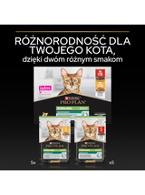 PRO PLAN Sterilised Mokra karma dla kotów wysterylizowanych z wołowiną i kurczakiem w sosie 10x85g
