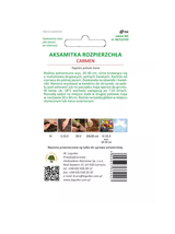 Aksamitka rozpierzchła Carmen mahoniowo-czerwona 1.50g