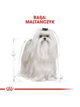 ROYAL CANIN Maltese Adult 1,5kg karma sucha dla psów dorosłych rasy maltańczyk