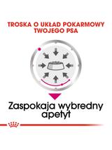 ROYAL CANIN CCN Exigent 12x85g karma mokra - pasztet dla psów dorosłych, wybrednych