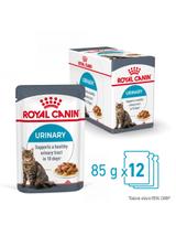 ROYAL CANIN Urinary Care karma mokra plasterki w sosie dla kotów dorosłych, wspierająca zdrowie dróg moczowych 12x85 g