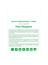 Kanna Fata Morgana ciemnoróżowa 1szt.