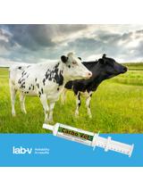 Lab-v Carbo Vet - Preparat na biegunkę, zatrucia 100ml