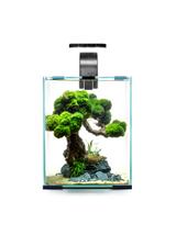 AQUAEL Zestaw Aquael Shrimp Set Day & Night [30l] - czarny