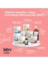 Lab-v Zestaw suplementów do diety BARF dla kota