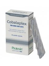 Protexin Cobalaplex 60 kapsułek probiotyk dla psa i kota
