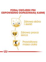 ROYAL CANIN Golden Retriever Adult 10,8kg karma sucha dla psów dorosłych rasy golden retriever/ Opakowanie uszkodzone (7578) !!!