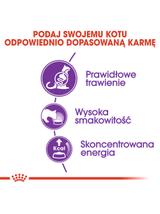 ROYAL CANIN  Sensible 33 10kg karma sucha dla kotów dorosłych, o wrażliwym przewodzie pokarmowym + niespodzianka dla kota GRATIS!
