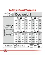 ROYAL CANIN CCN Mini Dermacomfort 8kg + niespodzianka dla psa GRATIS!