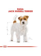 ROYAL CANIN Jack Russell Terrier Adult 7,5kg karma sucha dla psów dorosłych rasy jack russel terrier