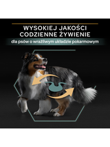 PRO PLAN Sensitive Digestion Medium Adult Karma dla psów bogata w jagnięcinę 14kg