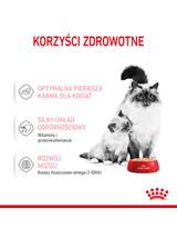ROYAL CANIN®   Babycat Instinctive Mousse 195 g puszka karma mokra, mus dla kociąt od odsadzenia do 4 miesiąca życia