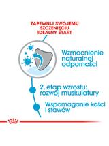 ROYAL CANIN Giant Junior 15kg karma sucha dla szczeniąt  od 8 do 18/24 miesiąca życia, ras olbrzymich + niespodzianka dla psa GRATIS!