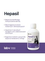 Lab-v Hepasil Dog & Cat preparat na poprawę funkcjonowania wątroby dla psa i kota 250 ml